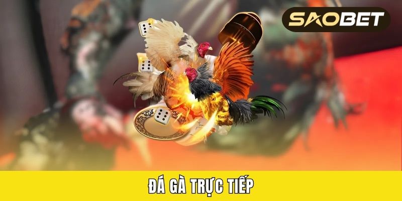 Đá Gà Trực Tiếp
