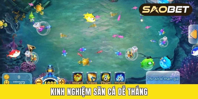 Kinh nghiệm săn cá dễ thắng