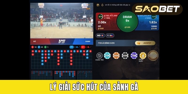 Lý giải sức hút của sảnh gà
