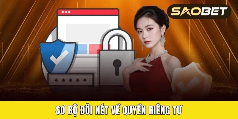 Sơ bộ đôi nét về quyền riêng tư