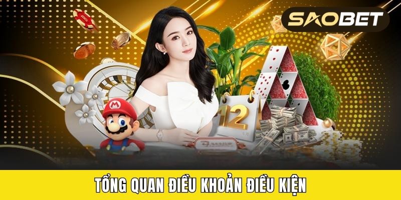 Tổng quan điều khoản điều kiện